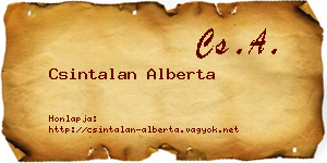 Csintalan Alberta névjegykártya